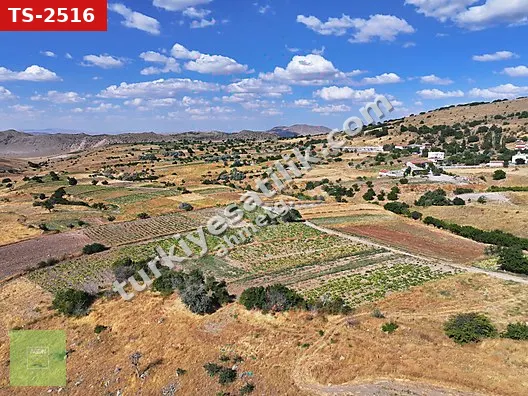 NEVŞEHİR ACIGÖL TOPAÇTA 2.919,23 M² TARLA TEMİZ VE TEK TAPU