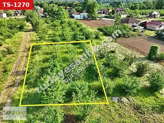 TAPUHANEDEN AŞAGI ÇALICA KÖY MERKEZİNDE 450 M2 İMARLI ARSA