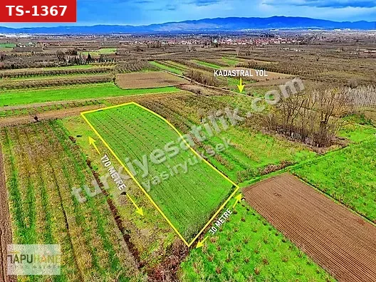 TAPUHANEDEN ÇAYIRBAŞINDA 4952M2 TARLA