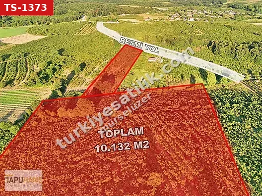 TAPUHANE REAL ESTATE - 10.132M2 A.ÇALICADA FINDIK BAHÇESİ