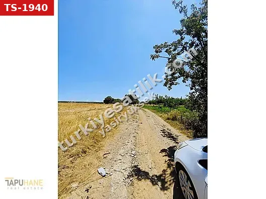 TAPUHANEDEN BİLECİK MERKEZ KURTKÖYÜNDE 1241 M2 SATILIK TARLA